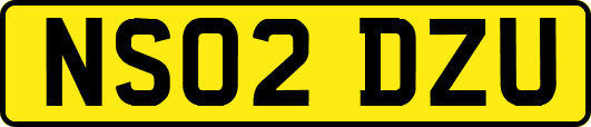 NS02DZU