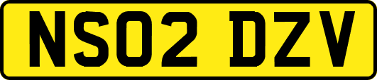 NS02DZV