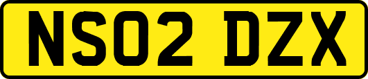 NS02DZX