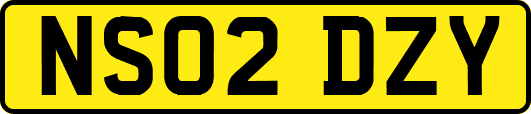 NS02DZY