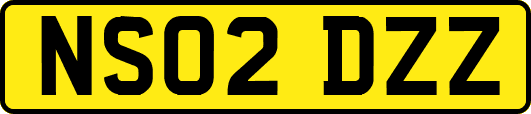 NS02DZZ