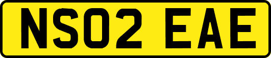 NS02EAE