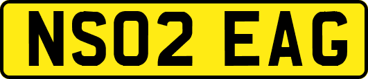 NS02EAG