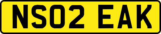 NS02EAK