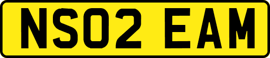 NS02EAM