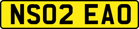 NS02EAO
