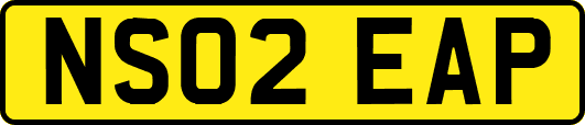 NS02EAP