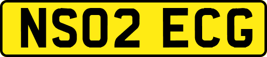 NS02ECG