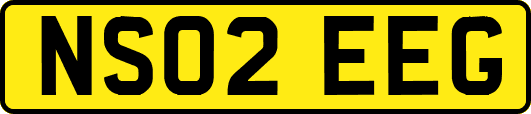 NS02EEG