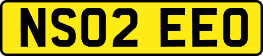 NS02EEO