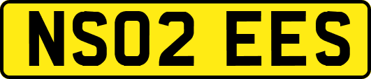 NS02EES