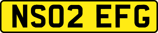 NS02EFG