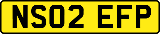 NS02EFP