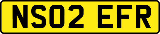 NS02EFR