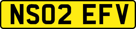 NS02EFV