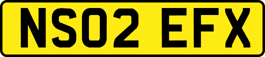 NS02EFX