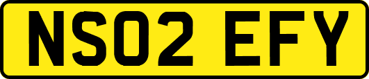 NS02EFY