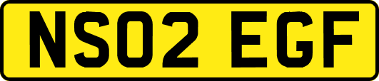 NS02EGF