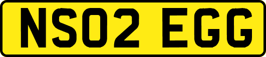 NS02EGG
