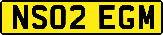 NS02EGM