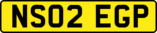 NS02EGP
