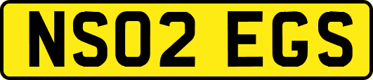 NS02EGS