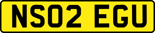 NS02EGU