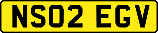 NS02EGV
