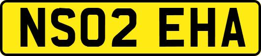NS02EHA