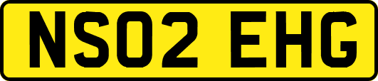 NS02EHG