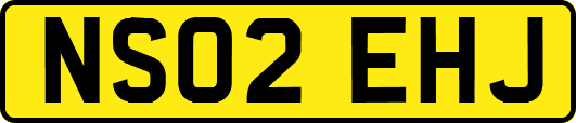 NS02EHJ