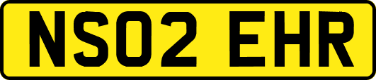 NS02EHR