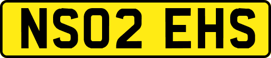 NS02EHS