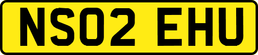 NS02EHU