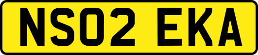 NS02EKA
