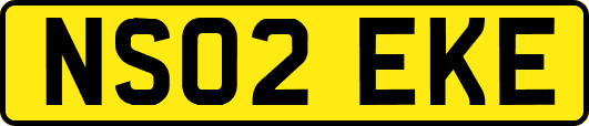 NS02EKE