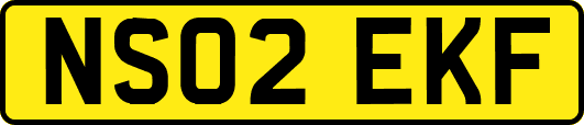 NS02EKF