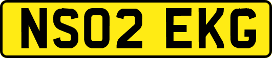 NS02EKG