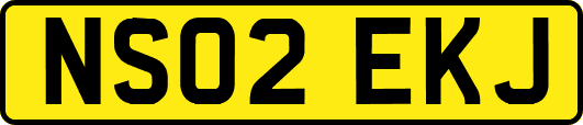 NS02EKJ