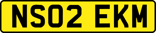 NS02EKM