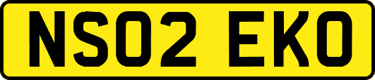 NS02EKO