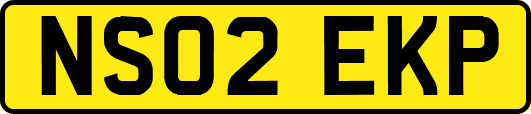 NS02EKP