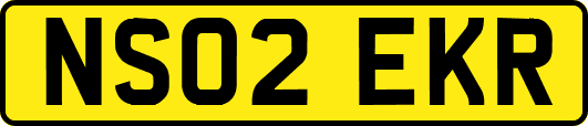 NS02EKR