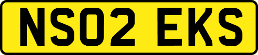 NS02EKS