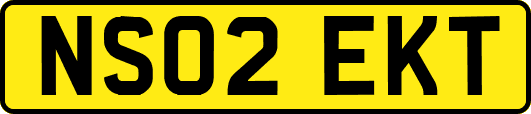 NS02EKT