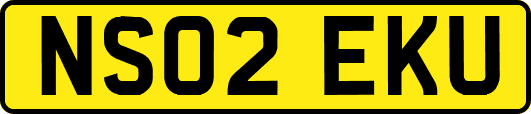 NS02EKU