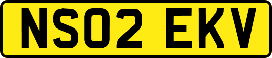 NS02EKV