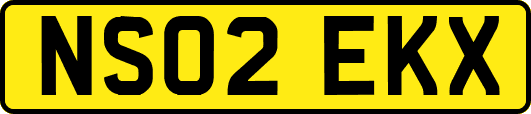 NS02EKX
