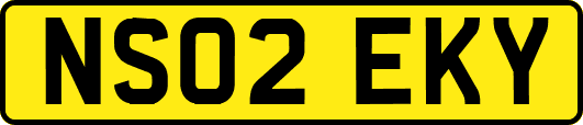 NS02EKY