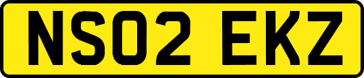 NS02EKZ